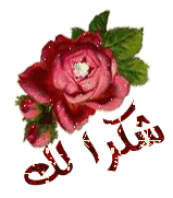 برنامج القرآن للجوال 519-th10