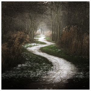Wanderous Path The_wh10
