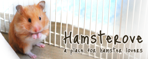 Hamsterove: Hamster's Cove and Love. Banner11