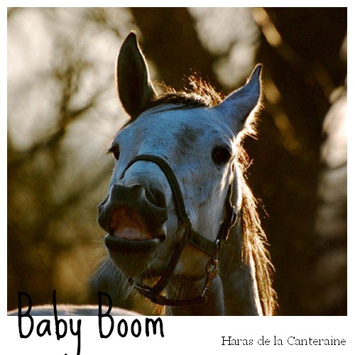 Danone X Baby Boom [Fait] Baby_b10