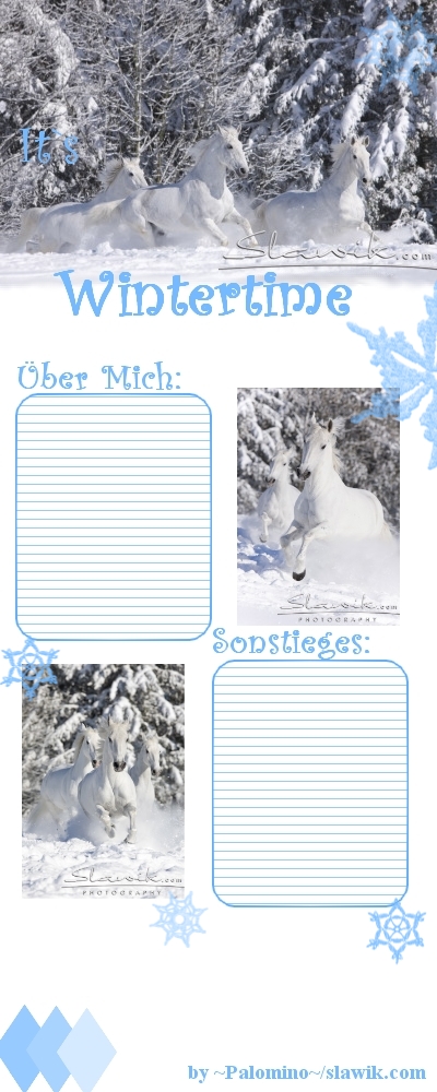 Kladruber Winter/Blau-Weiß Kladru10
