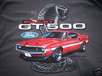 What is Your Car Style 69gt5010