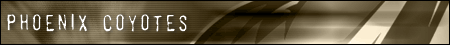 Phoenix Coyotes