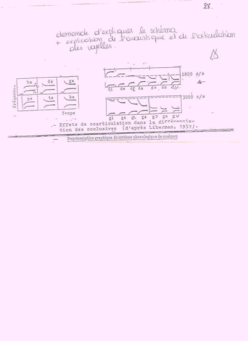 Help Phonétique et orthophonie Phoneo13