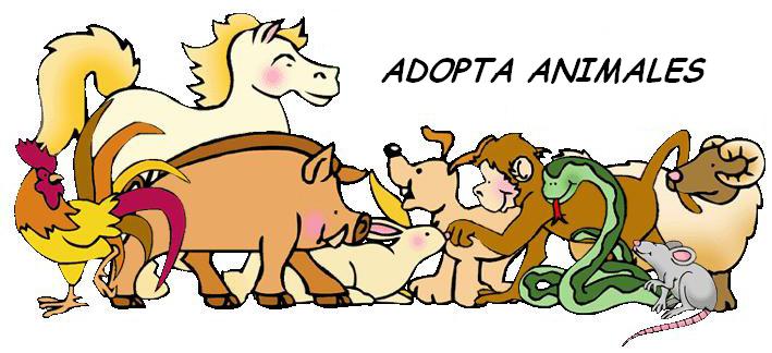 Adopta animales