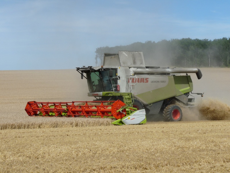 moisson en 580 Lexion19