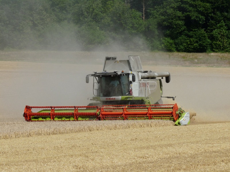 moisson en 580 Lexion20