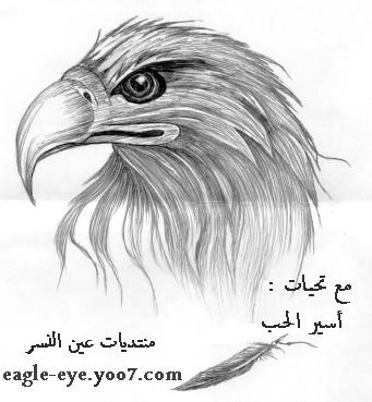 علاجات طبيعية Eagle_19