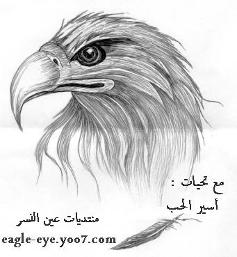 صابون و فرشاة Eagle_32