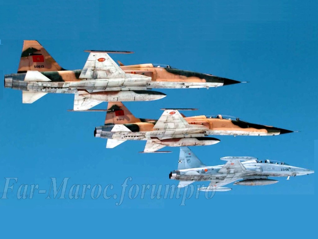 FRA: Photos F-5 marocains / Moroccan F-5  - Page 4 Clipbo15