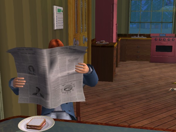 Rosenhagen - Die Sims 2 - Seite 3 Snaps104