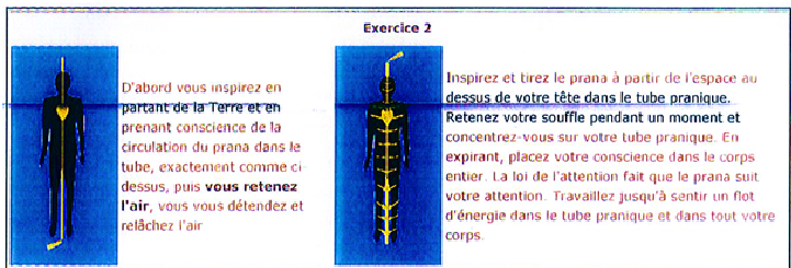 LE PRANA : EXERCICE SIMPLE 219