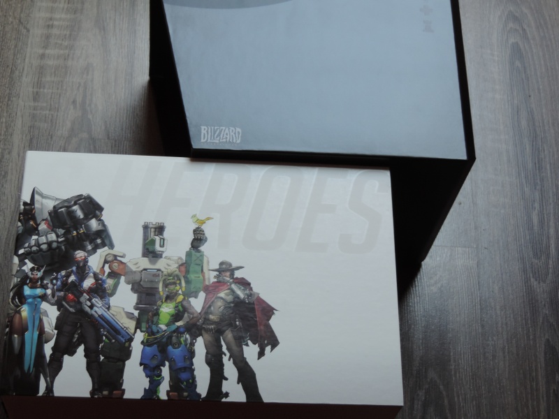 [Preview] Overwatch collector Vue_co10