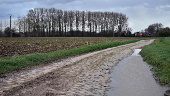 PARIS - ROUBAIX  --F--  10.04.2016 8_enne10