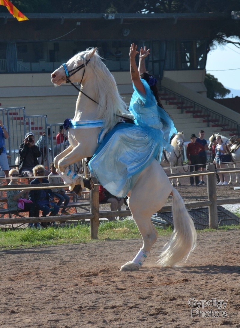 encore un anniversaire rendu magique grâce à mes parents  13288710