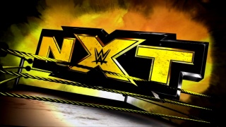 Le dernier participant du Money In The Bank  Wwe-nx10