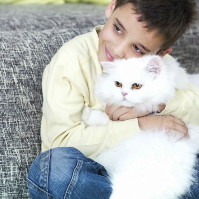 Apprendre aux enfants à s'occuper des chiens et des chats Cohabi10