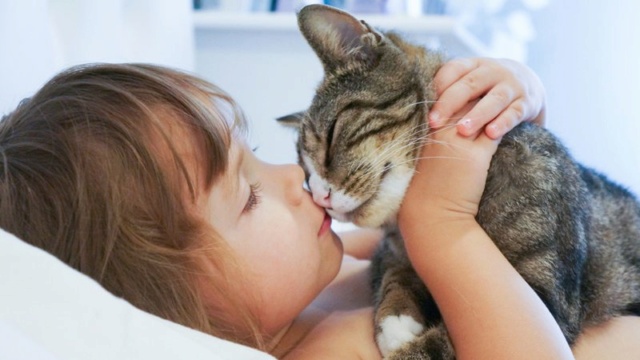 Apprendre aux enfants à s'occuper des chiens et des chats Enfant10