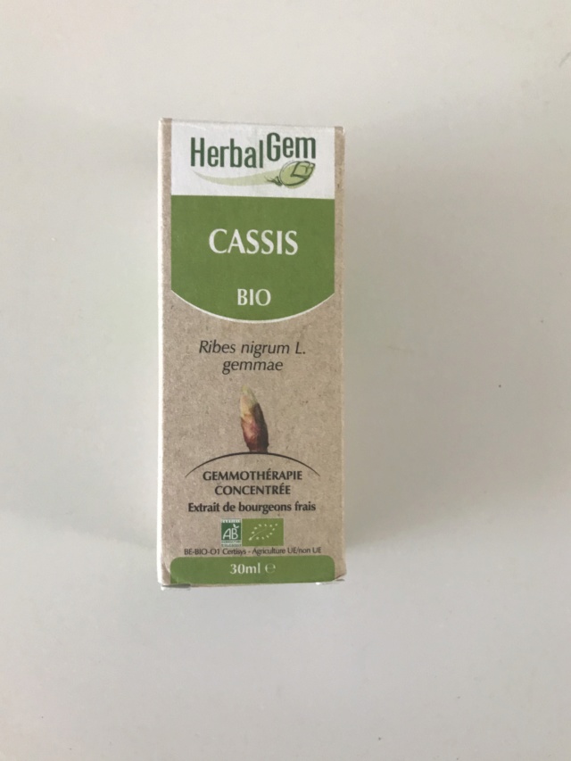 Herbal Gem Cassis  Img_6211