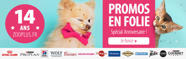 Promotions Zooplus Mail_j33