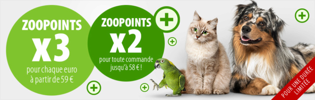 Promotions Zooplus Mail_j40