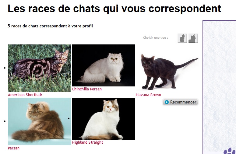 Test: Quelles races de chats me correspondent ? Test10