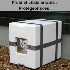 Comment Proteger Les Chats Errants Du Froid Page 2 Comment Proteger Les Chats Errants Du Froid Page 2