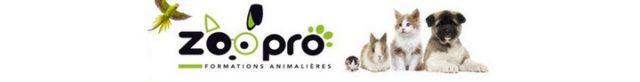 Zoo pro: formations animaux de compagnie à distance ou en présentiel Unname11