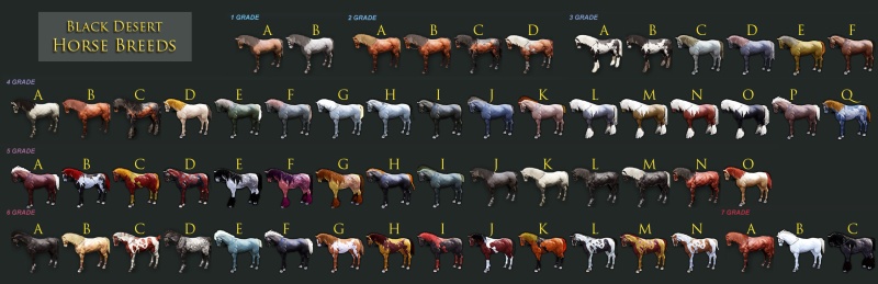 All The Horses Bdohor10