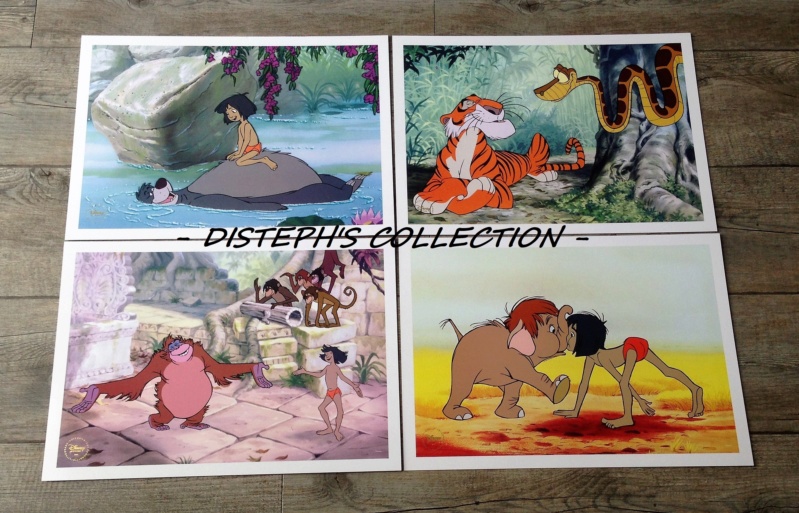 lithographies - [Collection] Les lithographies Disney - Page 15 Img_7164