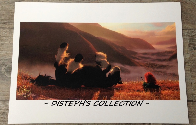 Disteph's collection. - Page 8 Img_7225