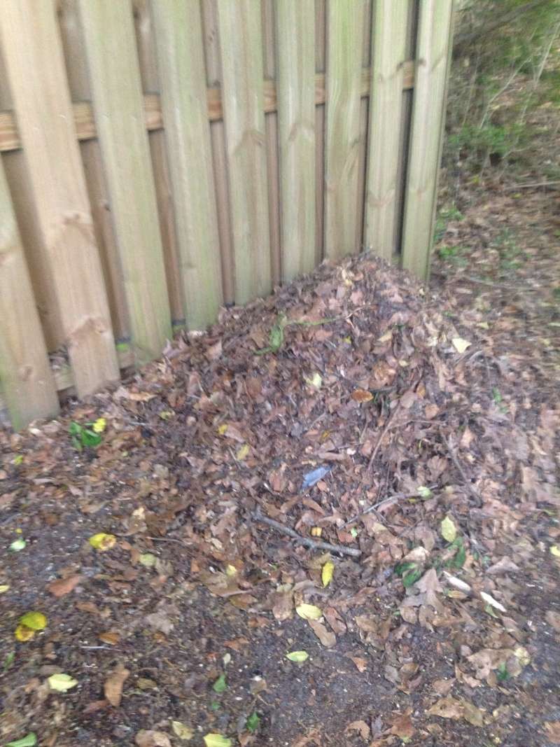 compost pile - WANTED: Pictures of Compost Bins 2016-060