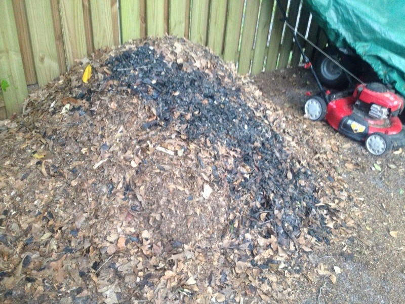 WANTED: Pictures of Compost Bins 2016-064
