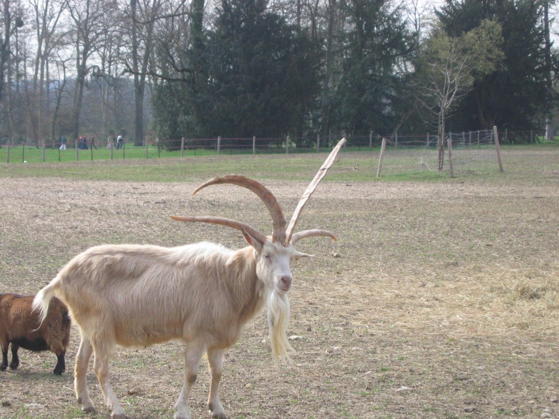 La ferme du Hameau du Petit Trianon 4_corn10