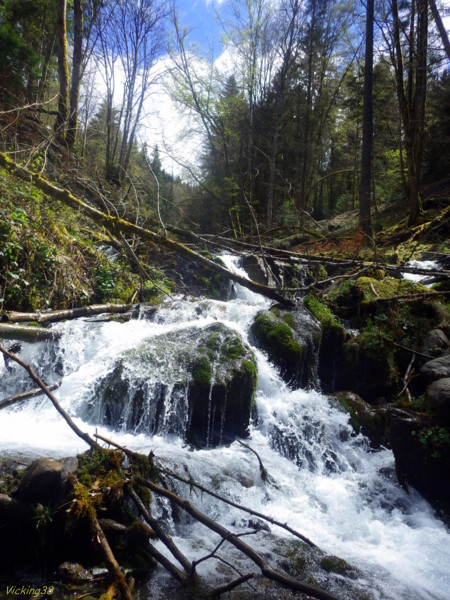  Dans un torrent à l'écume d'argent . .  0212