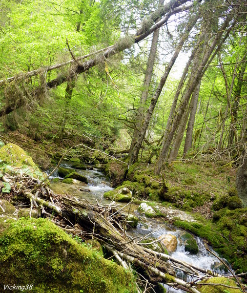 Un torrent aux eaux plus sages, mais aux 0313