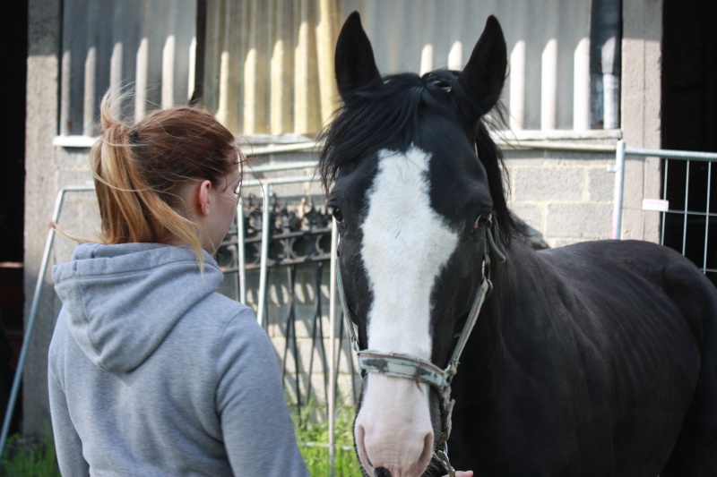 Dpt 03 - Bankaï, ONC entier de 4 ans - Réservé par Camille en Belgique (Avril 2016) - Page 4 Img_6425