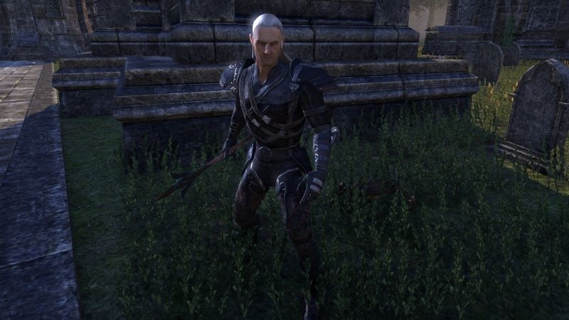 Geralt from Riva in ESO :) Screen15