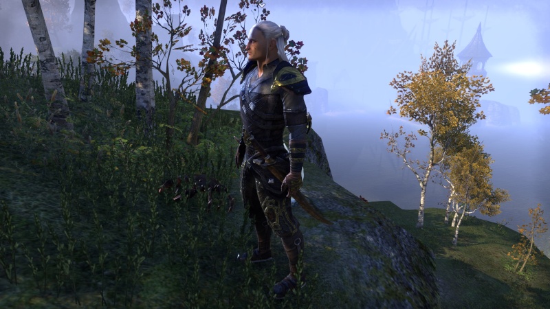 Geralt from Riva in ESO :) Screen19