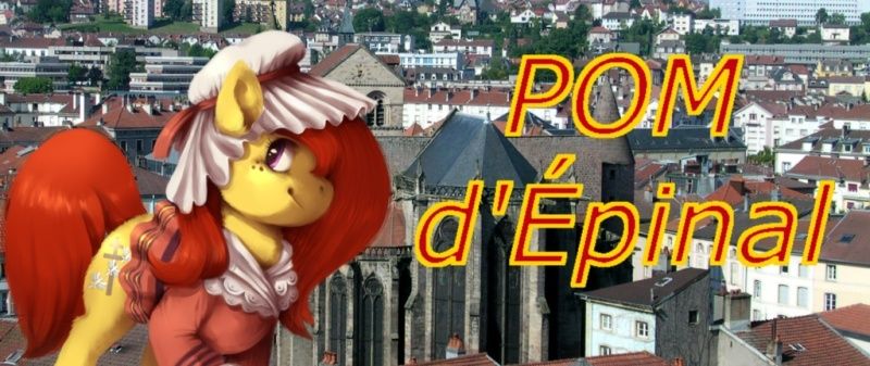 35émes Pony's On Movie's - Mai 2016 - 10 villes   J44dkp10