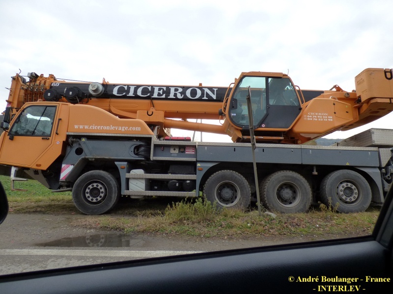 Les grues de CICERON (France) P1050812
