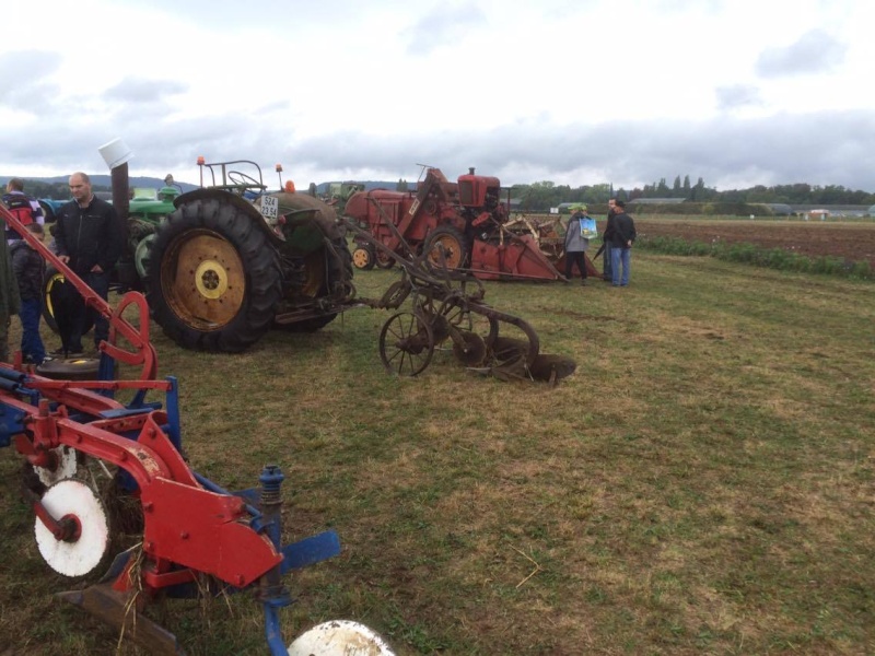 57 - concours de labour 2015 terre de Jim 12823110