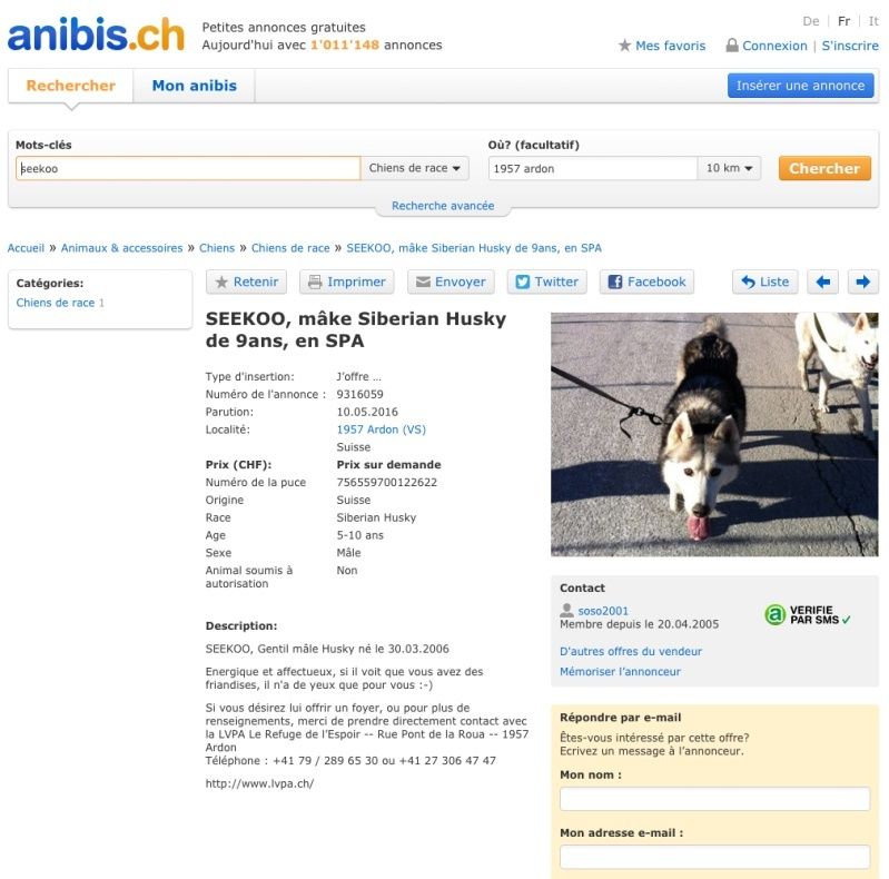 SEEKOO, Husky (m), né le 30.03.2006 REFU Suisse - Page 2 Seekoo11