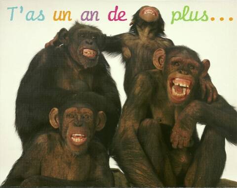 Annif D Alain 34 Annif D Alain 34