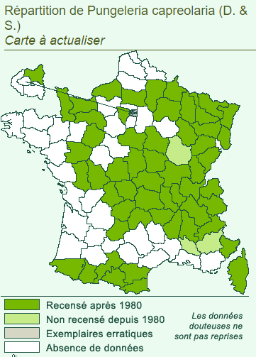 Première observation de Pungeleria capreolaria en Bretagne (historique)  Carte_16