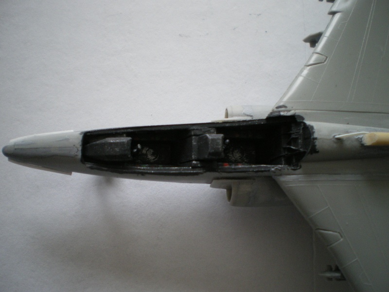FINI [Airfix/Heller] Alpha-jet Qatari, Guerre de le Golfe, 1990 Imgp0141