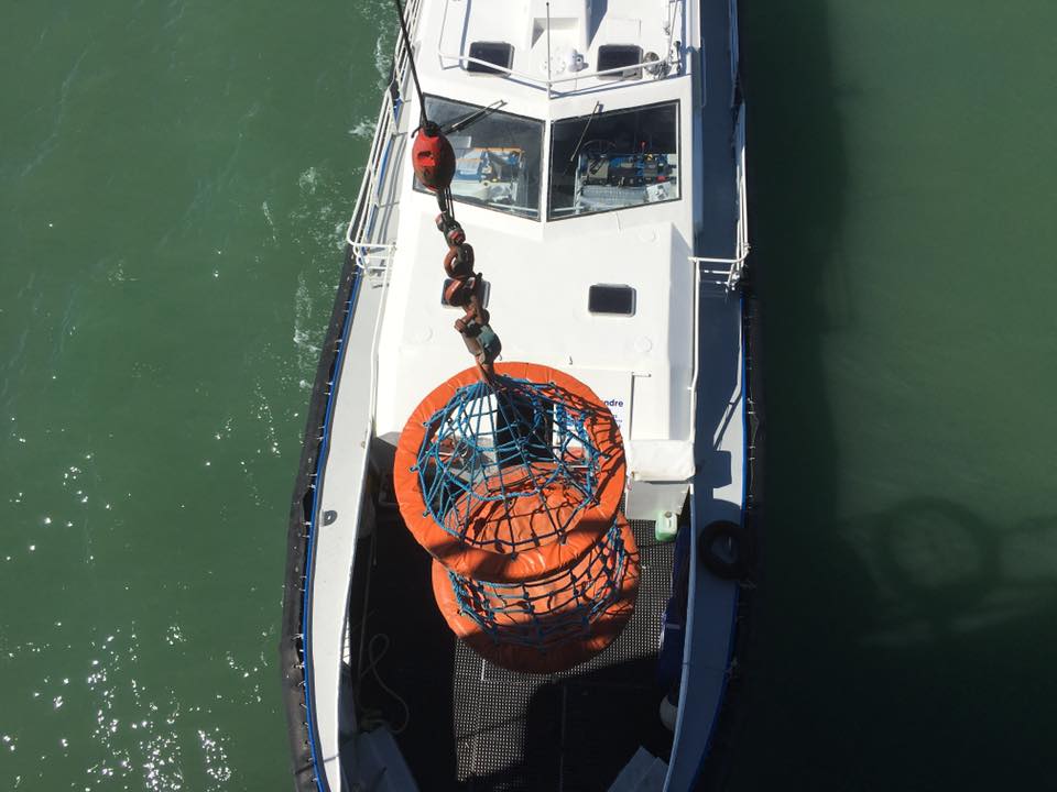 Cap Sud Ouest sur Fort Boyard - 5 juin 2016 à 12h55 sur France 3 13096110