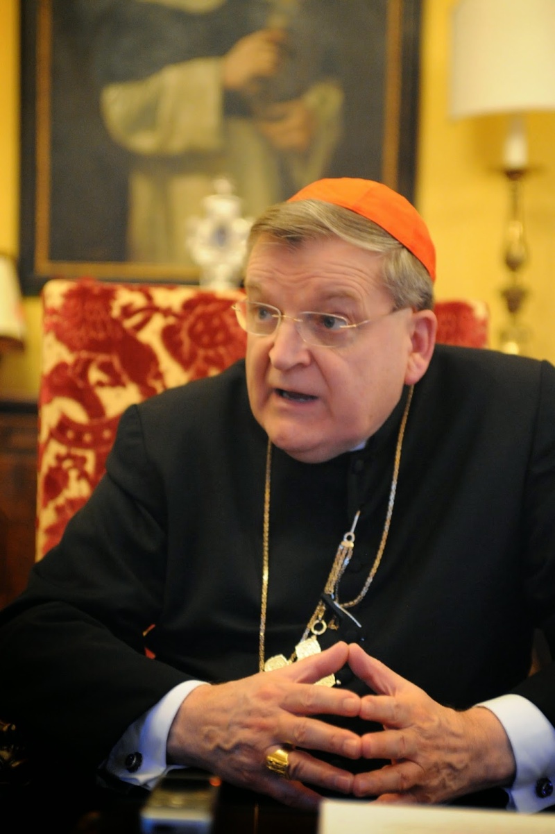EXCLUSIF : Un entretien inédit avec le Cardinal Burke à propos de la Famille, du Mariage et du Synod Dsc_0610