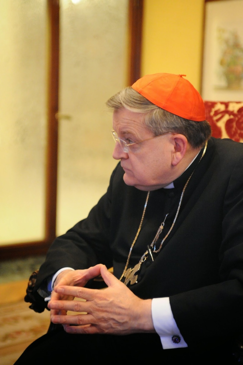 EXCLUSIF : Un entretien inédit avec le Cardinal Burke à propos de la Famille, du Mariage et du Synod Dsc_0611