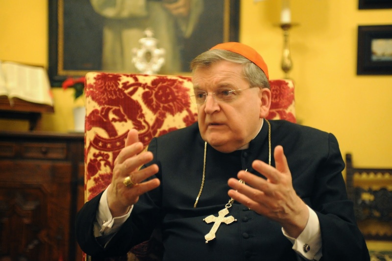 EXCLUSIF : Un entretien inédit avec le Cardinal Burke à propos de la Famille, du Mariage et du Synod Dsc_0612
